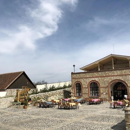 Orlat Conacul Maria Theresa מראה חיצוני תמונה